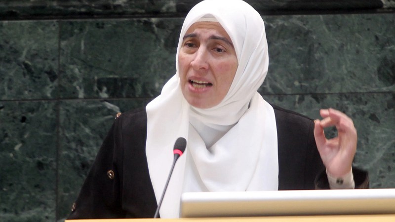 طهبوب: تعديلات الضمان اعتداء على حقوق الأردنيين (تفاصيل) 